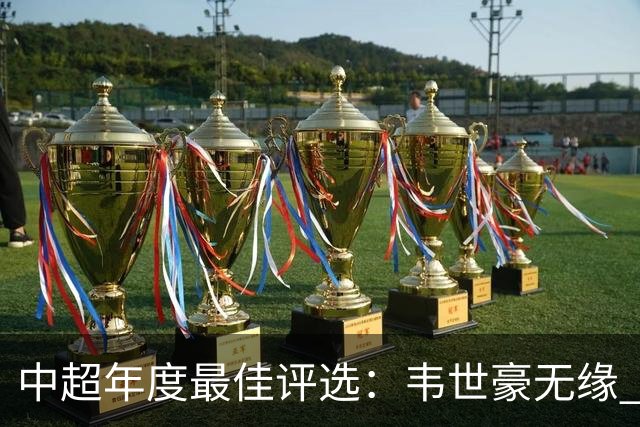 中超年度最佳评选：韦世豪无缘 30人入围金球奖5人争金帅