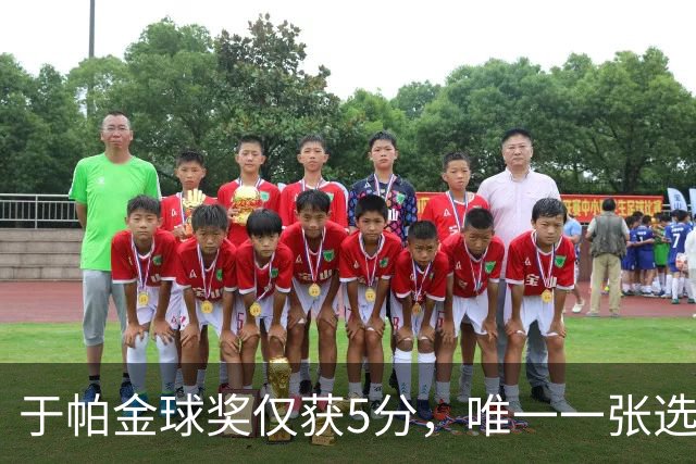 于帕金球奖仅获5分，唯一一张选票来自苏格兰评委