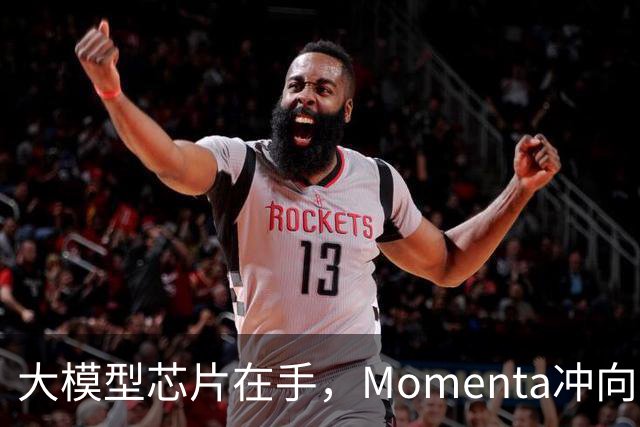 大模型芯片在手，Momenta冲向L4引爆点