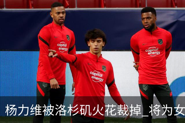 杨力维被洛杉矶火花裁掉 将为女篮争奥运门票