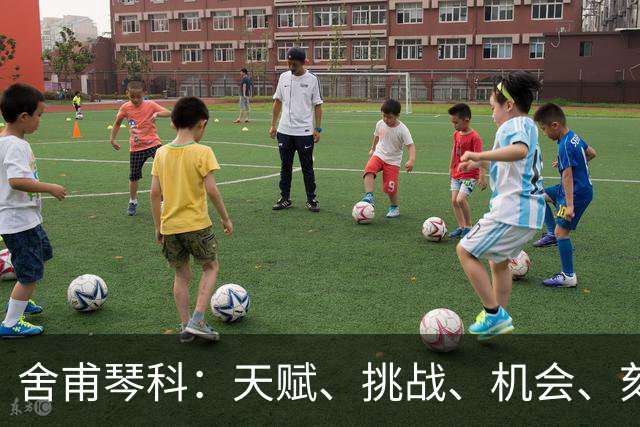 舍甫琴科：天赋、挑战、机会、刻苦训练、纪律让球员变得更好