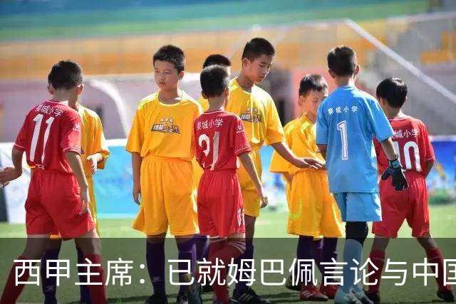 西甲主席：已就姆巴佩言论与中国驻西班牙大使会面，寻求解决方案