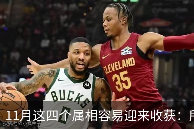 11月这四个属相容易迎来收获：所有惊喜，都是长期默默耕耘的结果