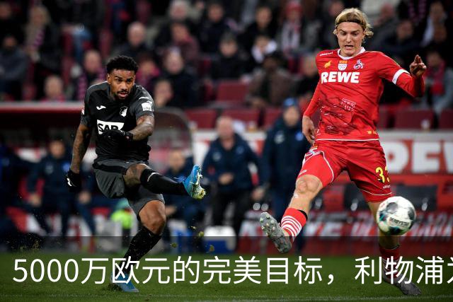 5000万欧元的完美目标，利物浦为何被曝缺席争夺