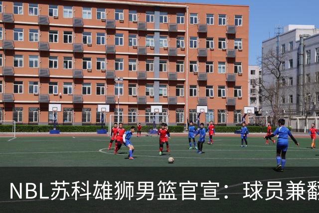 NBL苏科雄狮男篮官宣：球员兼翻译双线就位 林胤轩正式加盟